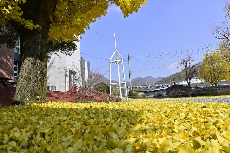 함백제일교회 사진 (Google 지도)
