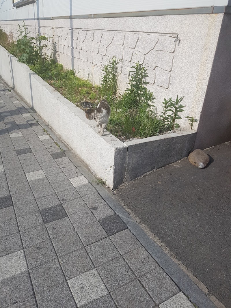 한울교회 사진 (Google 지도)